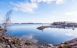 Koivusaari