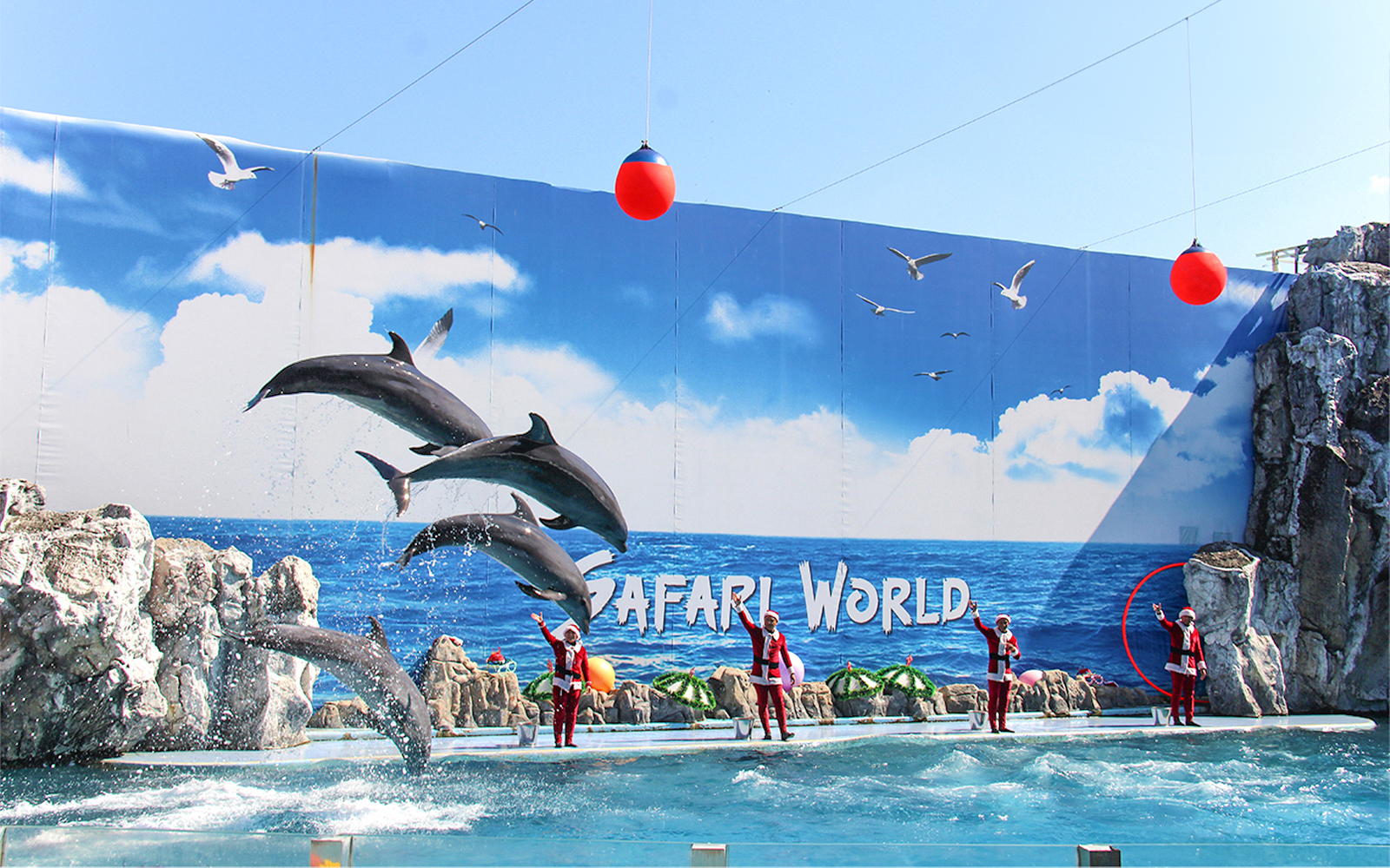 Dolphins jumping with trainers in Santa costumes at Safari World Marine Park, Bangkok.