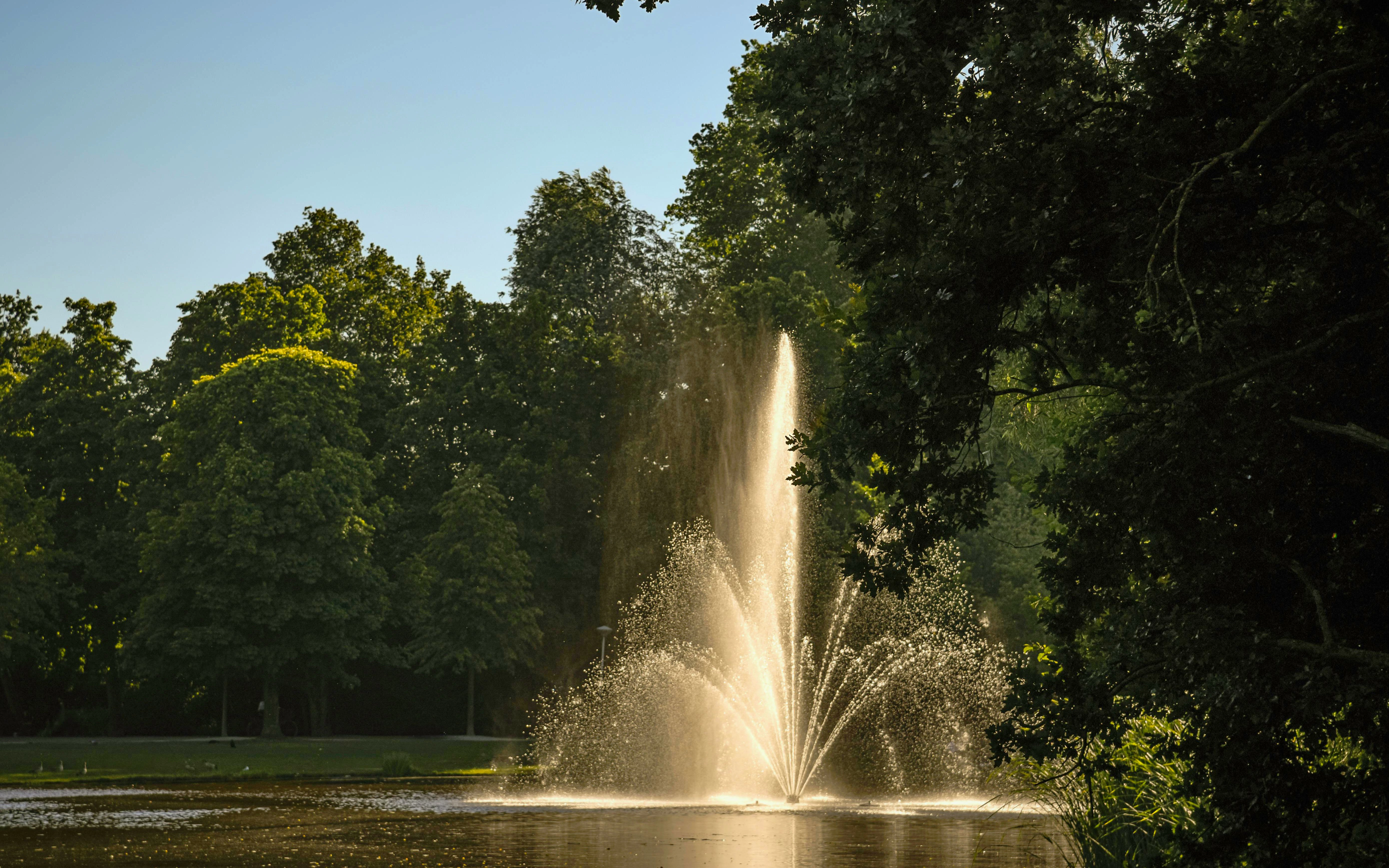 Fountain in Vondelpark during golden hour with surrounding trees.