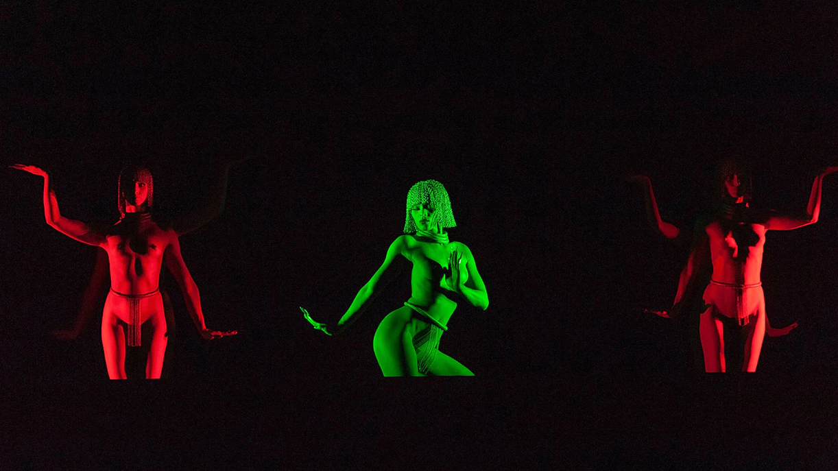 Crazy Horse Paris show