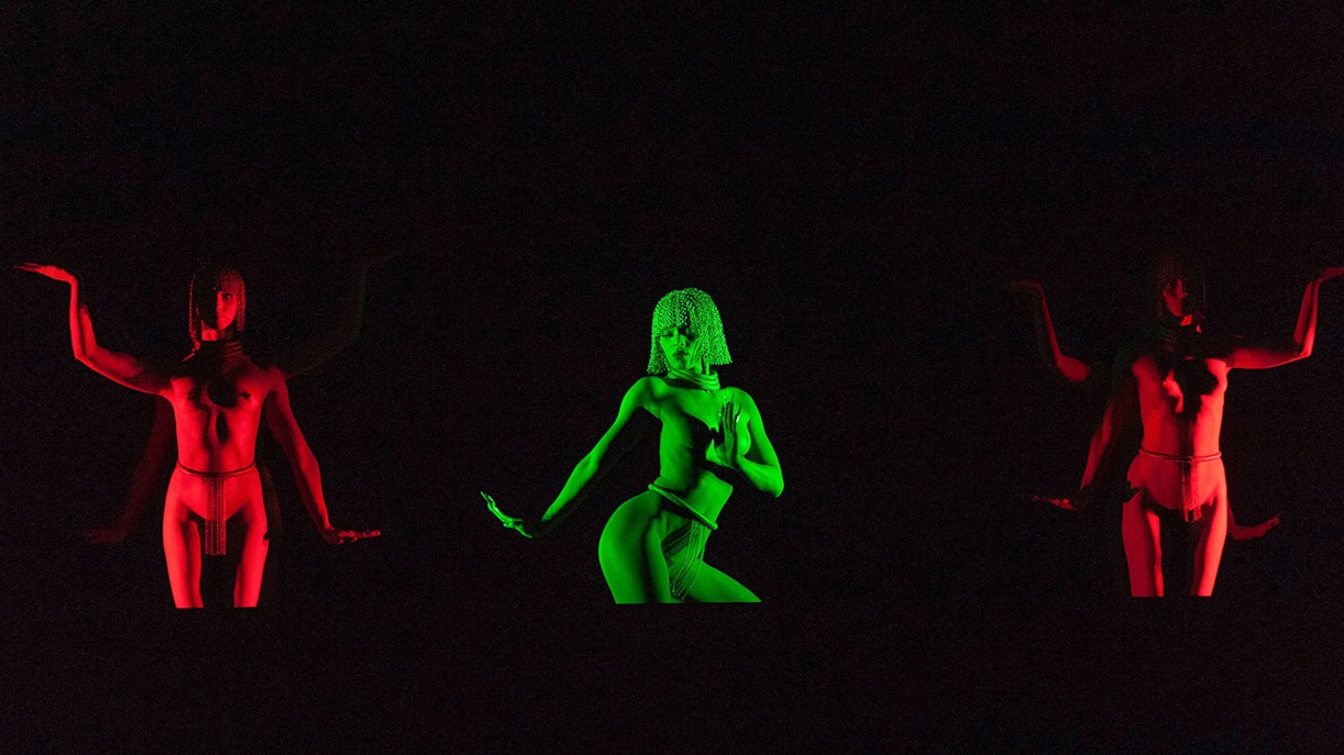 Crazy Horse Paris show