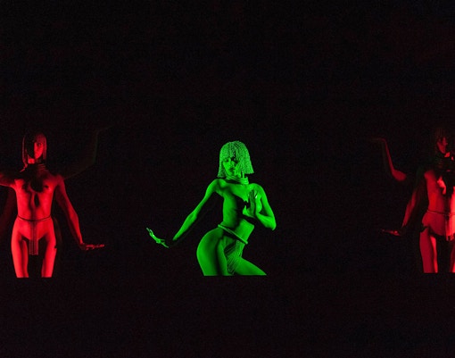 Crazy Horse Paris show