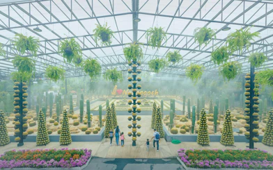 Nong Nooch Tropical Garden cactus display with visitors walking through.