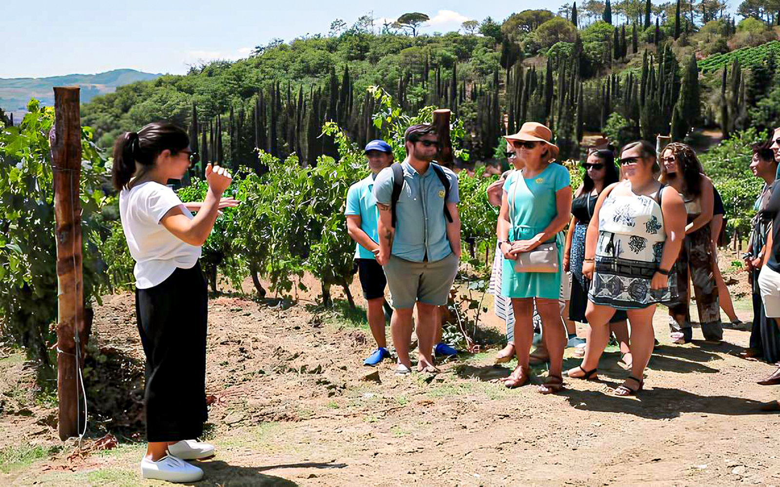 A tour escort giving information to tourists visiting vineyards during the chianti tours