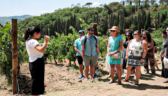A tour escort giving information to tourists visiting vineyards during the chianti tours