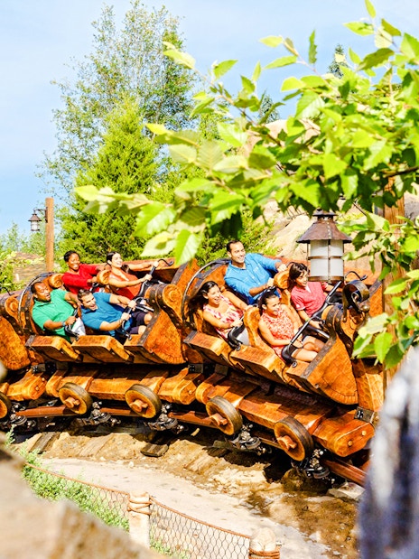 Guests enjoying a rollercoaster ride at Walt Disney World Resort, Orlando.