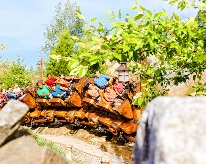 Walt Disney World Orlando 1-Day Tickets
