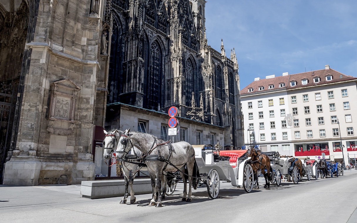 Fiaker horses with carriage in front of Stephansdom, Vienna.