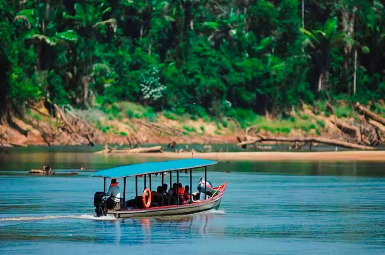 from cusco: 5-day manu national park amazon wildlife tour-4