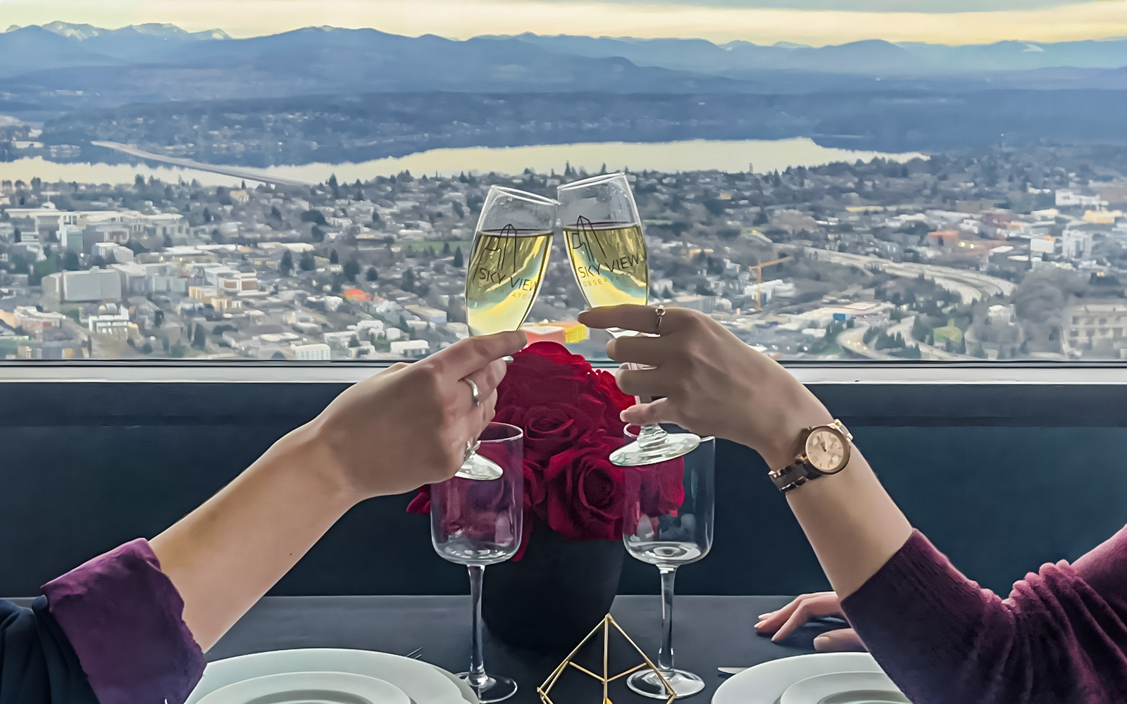 Sky View Observatory