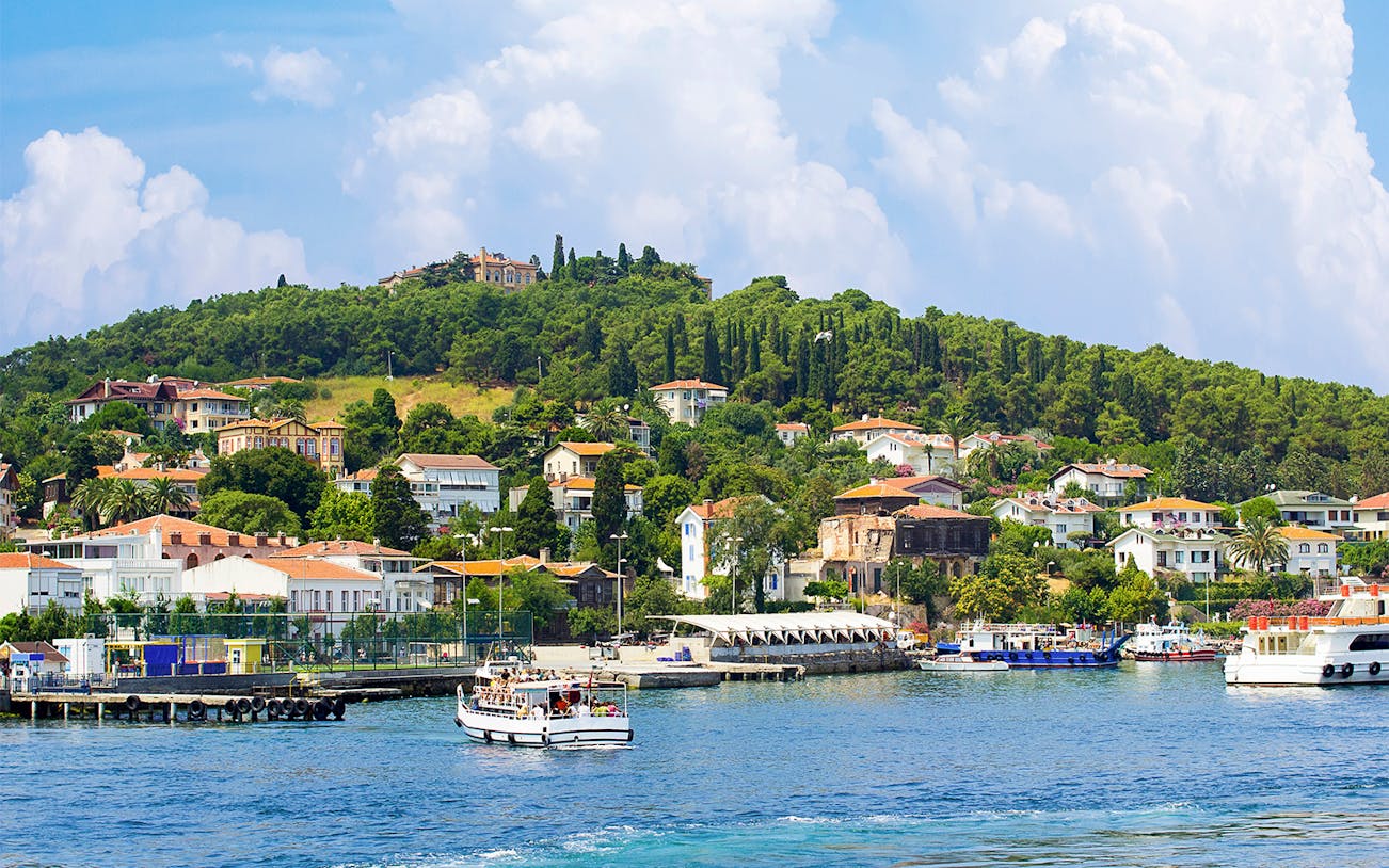 Cruise ship approaching Princes' Islands with hillside houses and lush greenery.