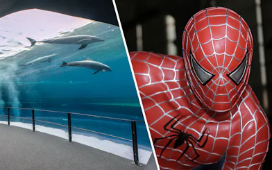 Dolphins swimming at Genoa Aquarium and superhero figure at Fantacinema Museum.