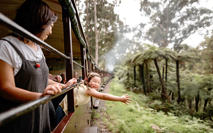 Passengers enjoying the view from Puffing Billy Steam Train in Melbourne forest.