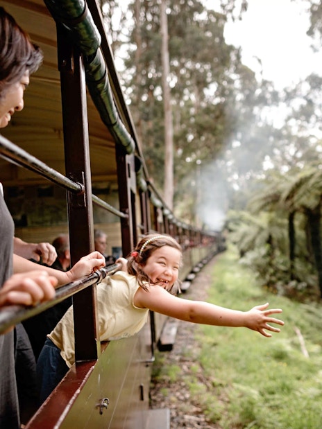 Passengers enjoying the view from Puffing Billy Steam Train in Melbourne forest.