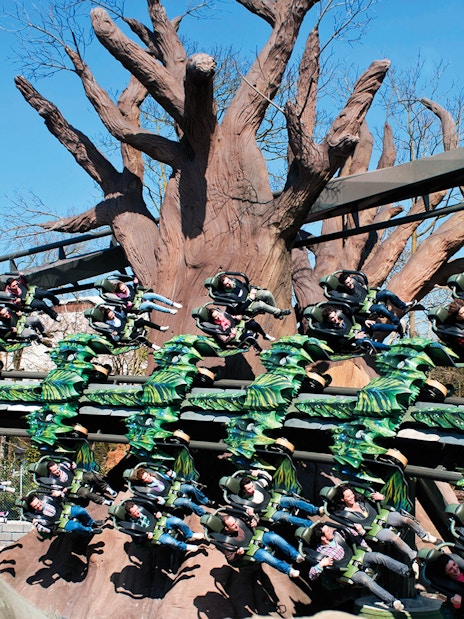 Roller coaster ride with passengers at Gardaland Park, Italy, featuring a large tree structure.