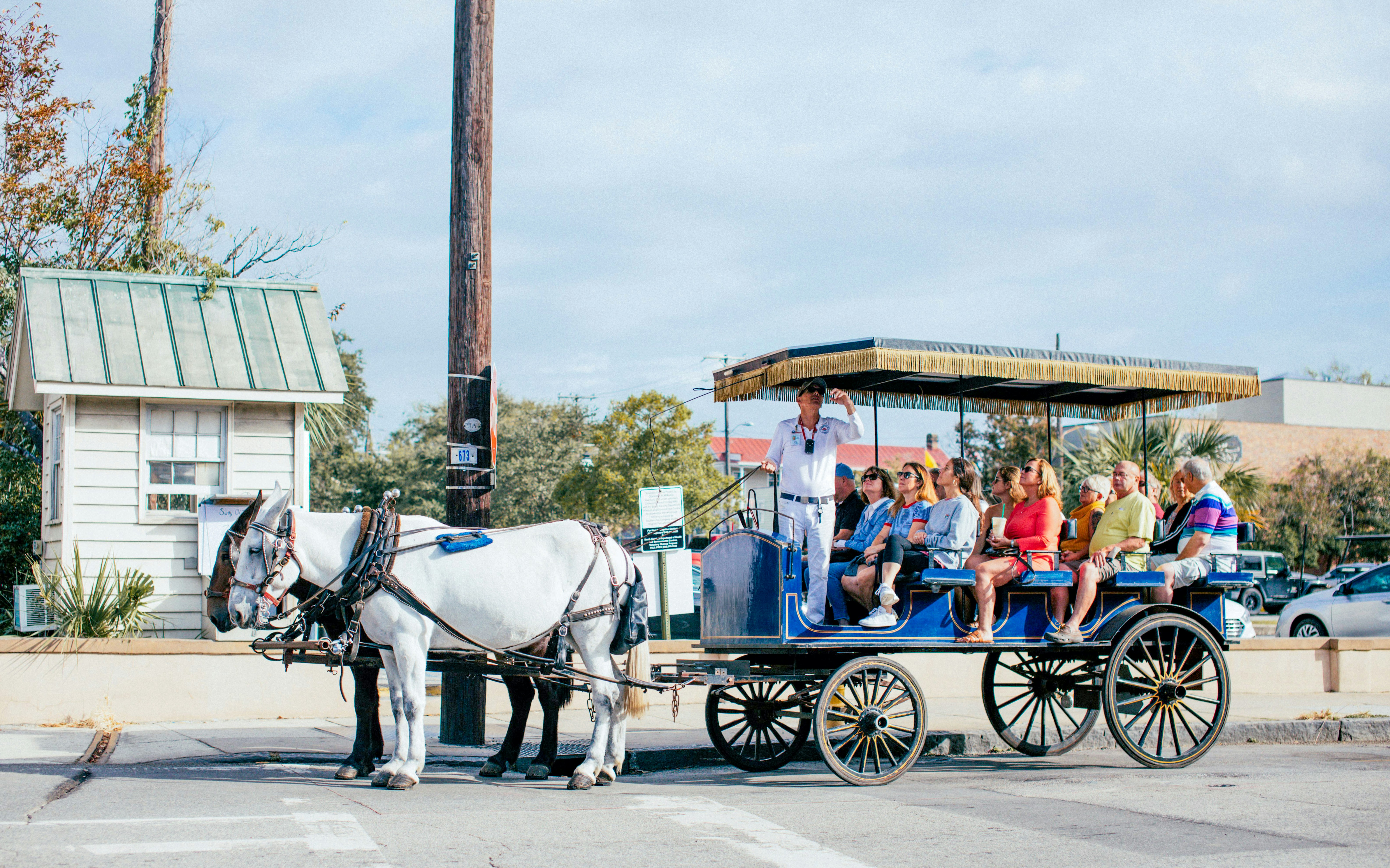 Tourists on a horse carriage tour with a guide in Charleston, South Carolina.