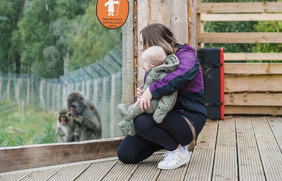 Guests observing animals at Highland Wildlife Park, Scotland.