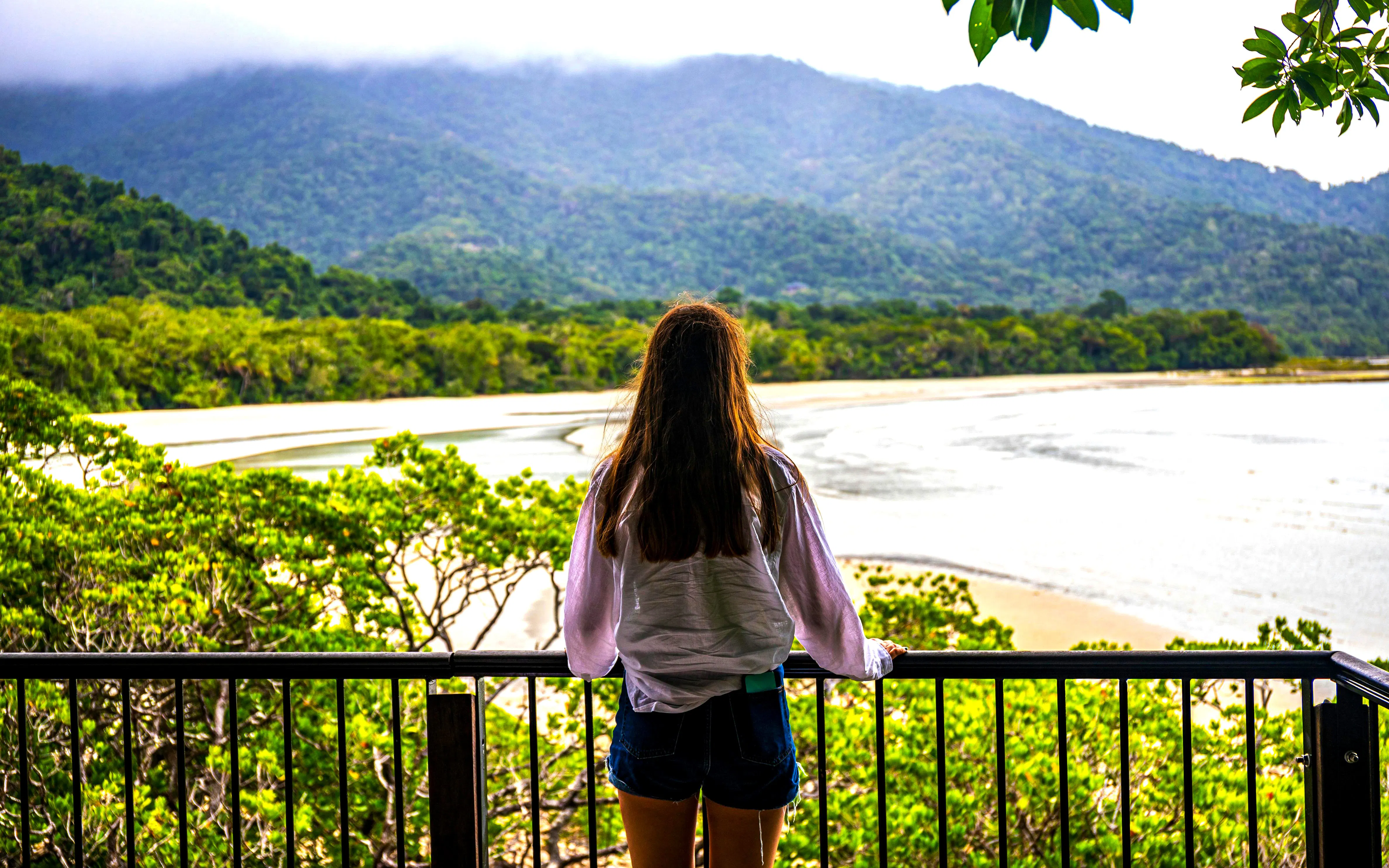 Person overlooking the Daintree coastline from Kulki Lookout, surrounded by lush greenery and mountains.