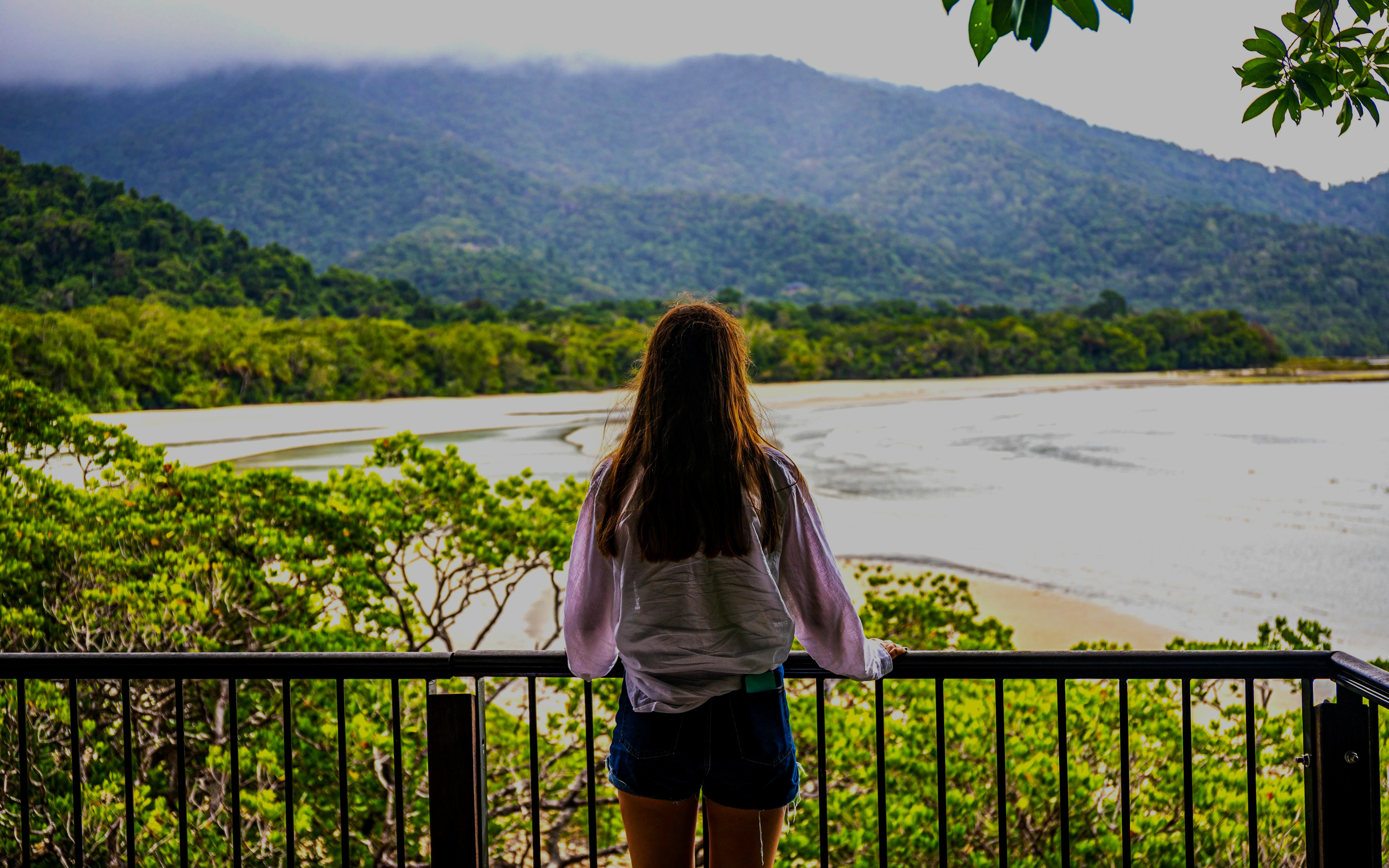 Person overlooking the Daintree coastline from Kulki Lookout, surrounded by lush greenery and mountains.