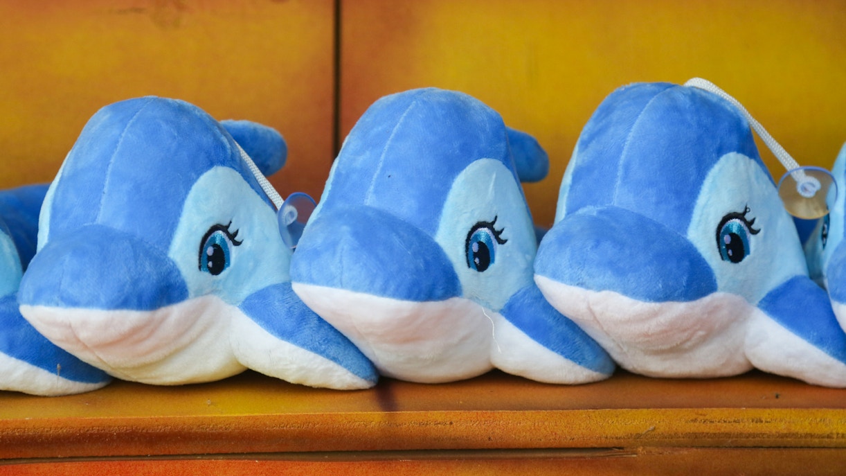 Dolphin plush toys displayed on a shelf in a gift shop.