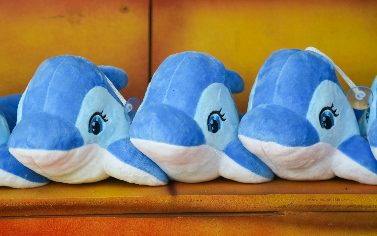 Dolphin plushies in a gift shop