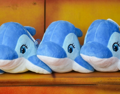 Dolphin plush toys displayed on a shelf in a gift shop.