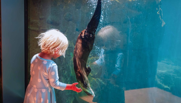 about Aquarium of the Pacific