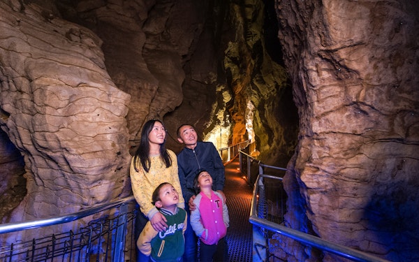 Aranui Cave Guided Tour