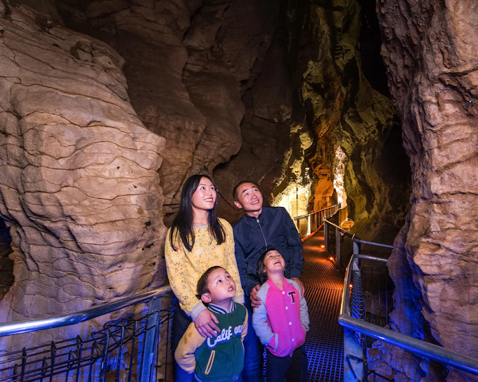 Aranui Cave Guided Tour