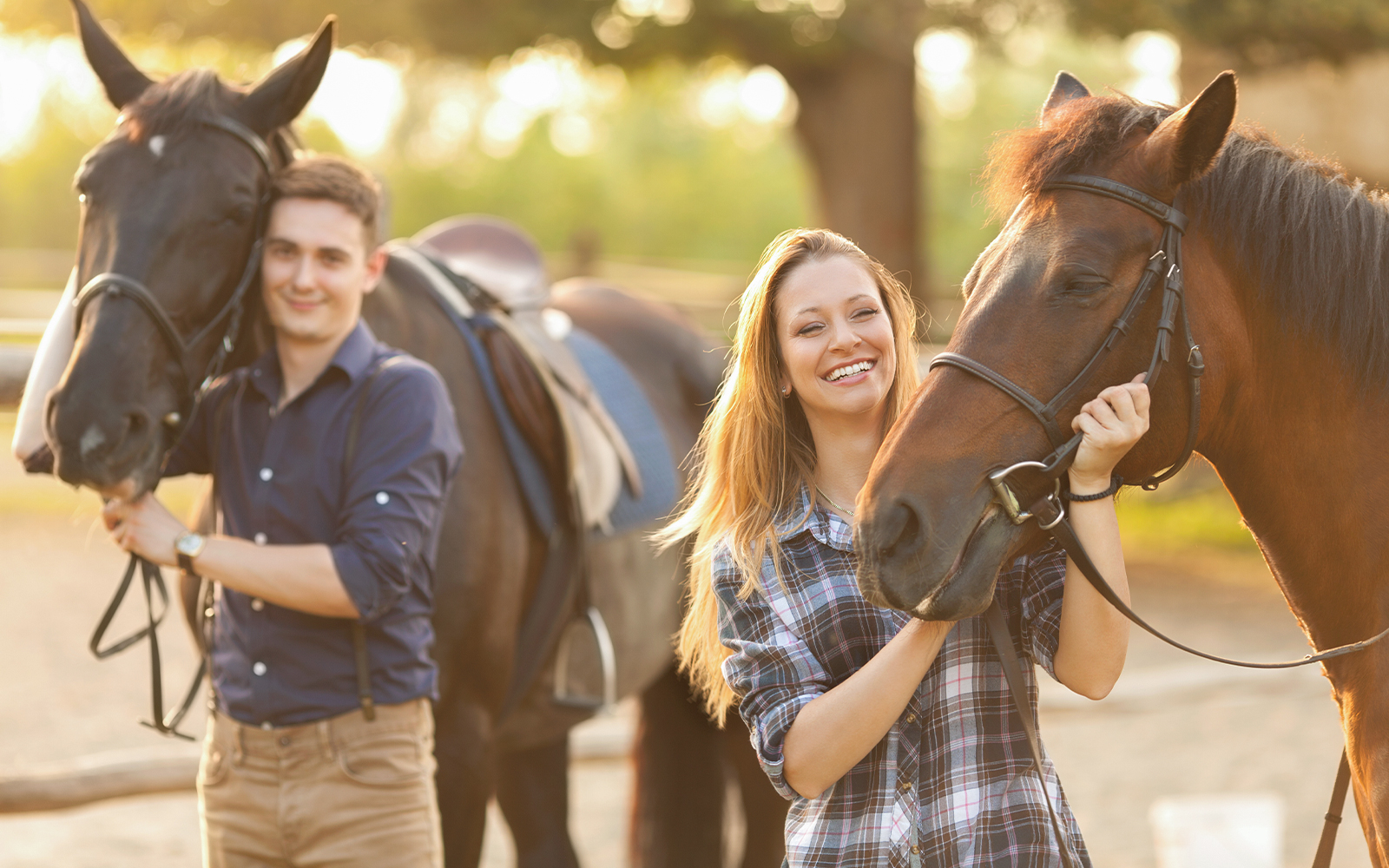 Visitors petting horse
