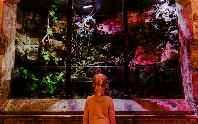 Guest observing an illuminated aquarium exhibit at SEA Life Brighton.