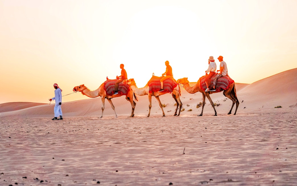 Camel trekking tour at sunset in Abu Dhabi desert.