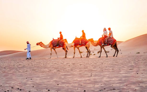 Camel trekking tour at sunset in Abu Dhabi desert.