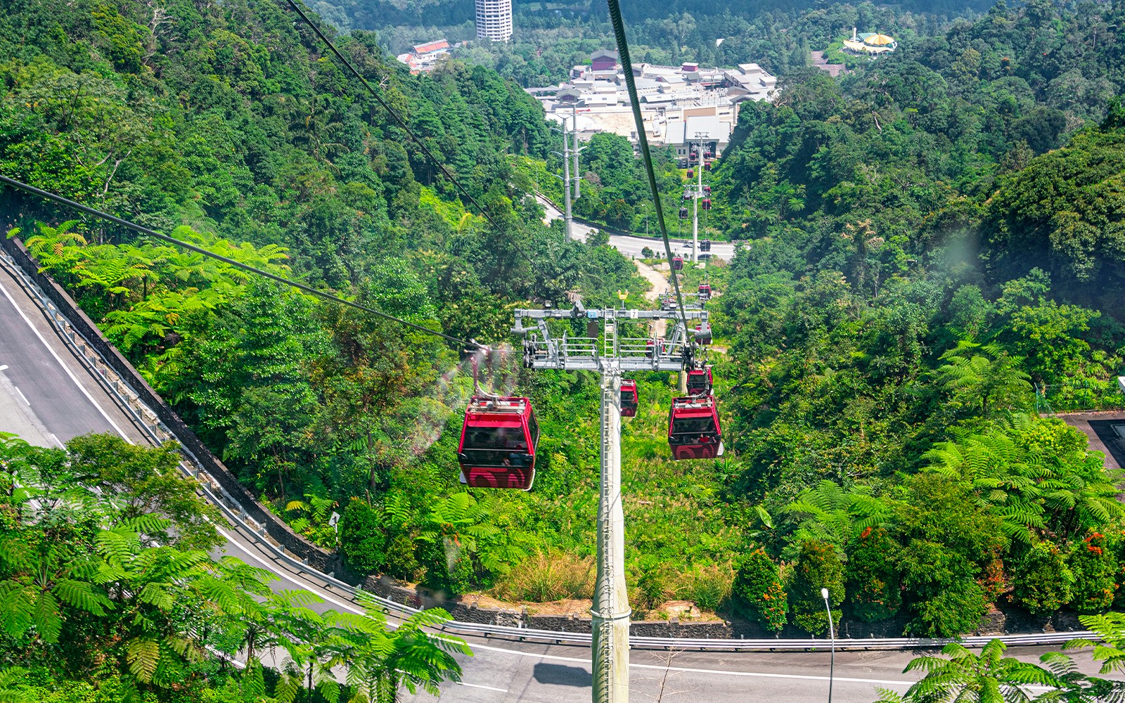 Cable cars traveling over lush forest at Genting Highlands, Malaysia.