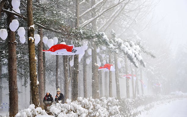 Snow-covered trees and flags on Nami Island during a day trip from Seoul.