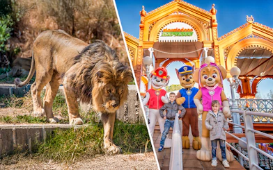 Lion at Madrid Zoo and children with characters at Parque de Atracciones de Madrid.