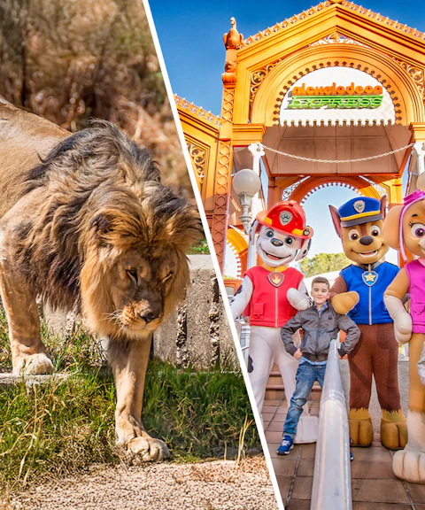 Lion at Madrid Zoo and children with characters at Parque de Atracciones de Madrid.