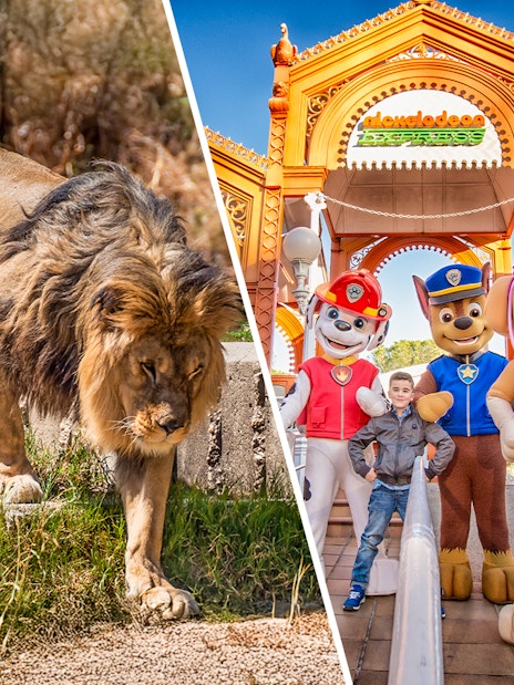 Lion at Madrid Zoo and children with characters at Parque de Atracciones de Madrid.