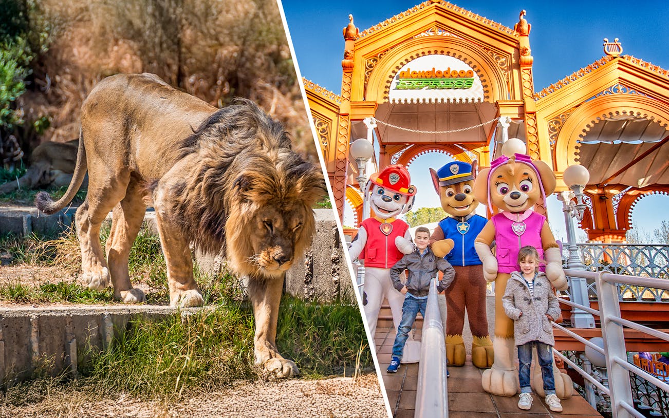 Lion at Madrid Zoo and children with characters at Parque de Atracciones de Madrid.