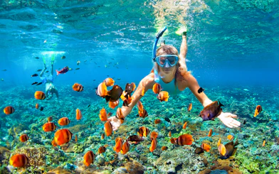 Snorkeler exploring coral reef with tropical fish in Similan Islands, Phuket.