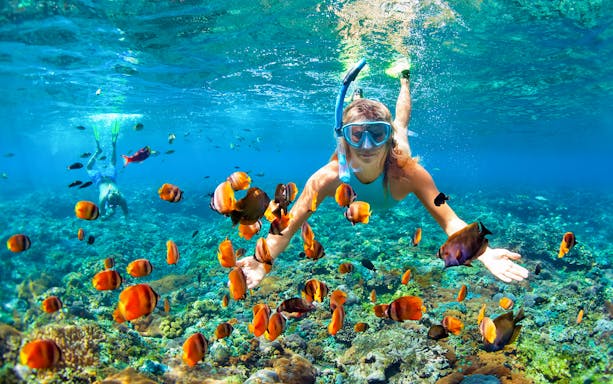 Snorkeler exploring coral reef with tropical fish in Similan Islands, Phuket.