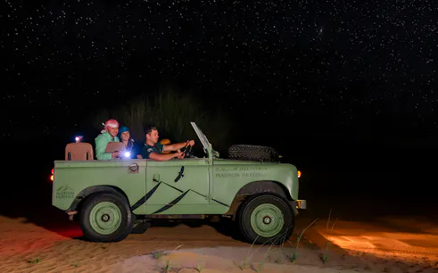 Vintage jeep on a desert night safari under a starry sky.