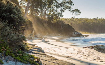 3-dagers pakke med høydepunkter på tasmania 1 – hobart, port arthur og-9