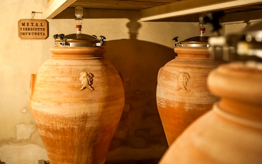 Terracotta wine fermentation jars in a Tuscan cellar.