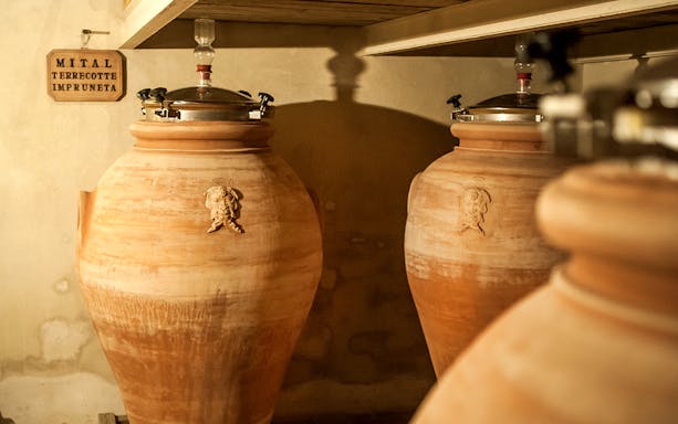 Terracotta wine fermentation jars in a Tuscan cellar.
