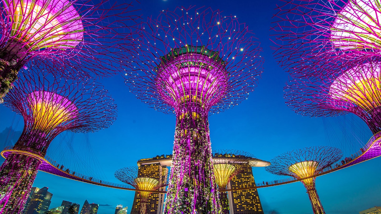 Floral Fantasy Singapore