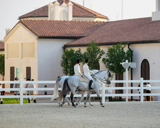 ADREA: Abu Dhabi Royal Equestrian Arts Guided Tour