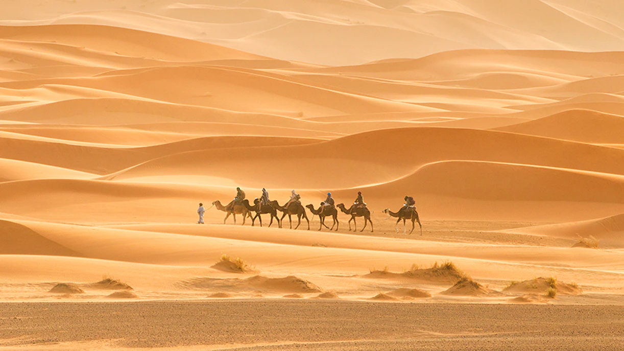 Camel caravan crossing Sakhir desert dunes.