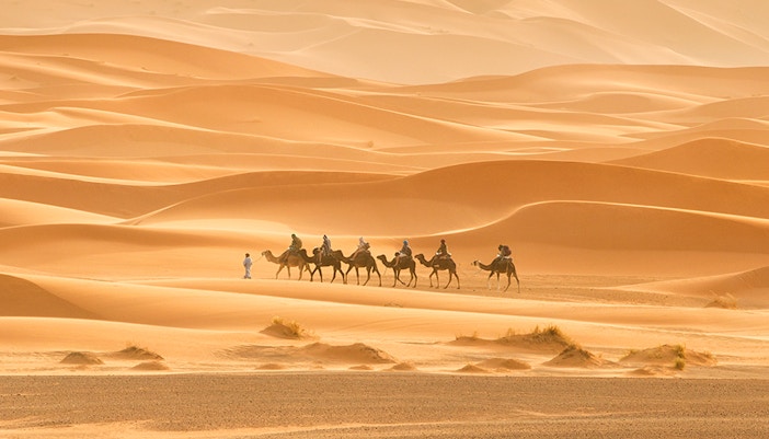 Camel caravan crossing Sakhir desert dunes.