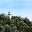 Long Island Light